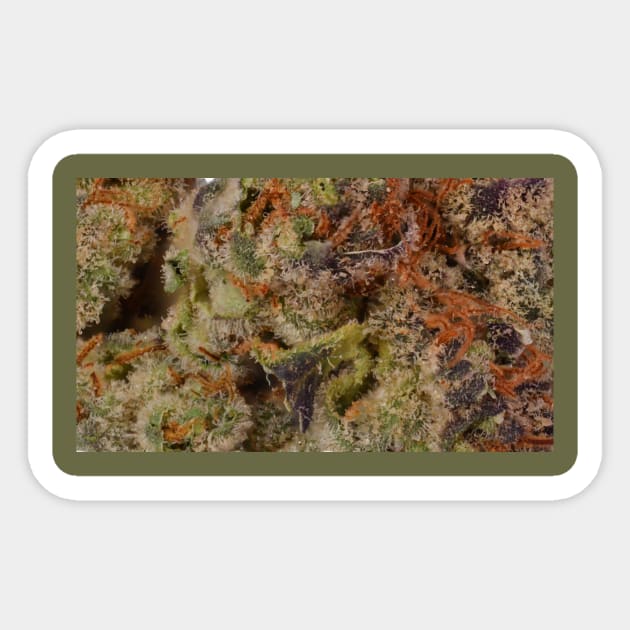 Strawberry C.R.E.A.M. Macro - Weed Design Sticker by MrGreenGenes420